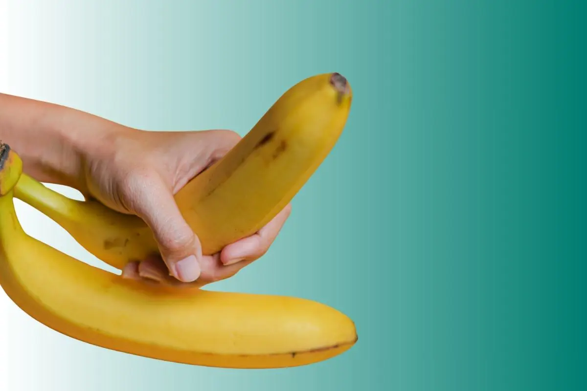 Powiększanie penisa kwasem hialuronowym