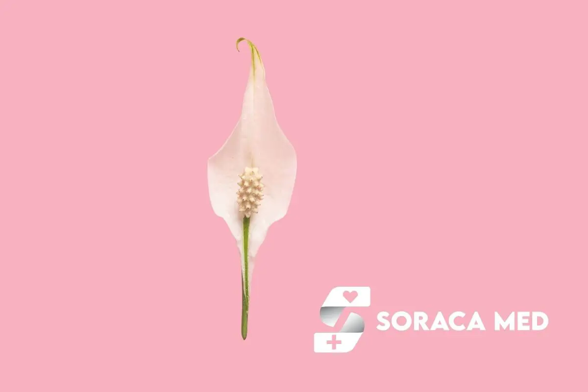 Kitzlervorhaut Entfernen